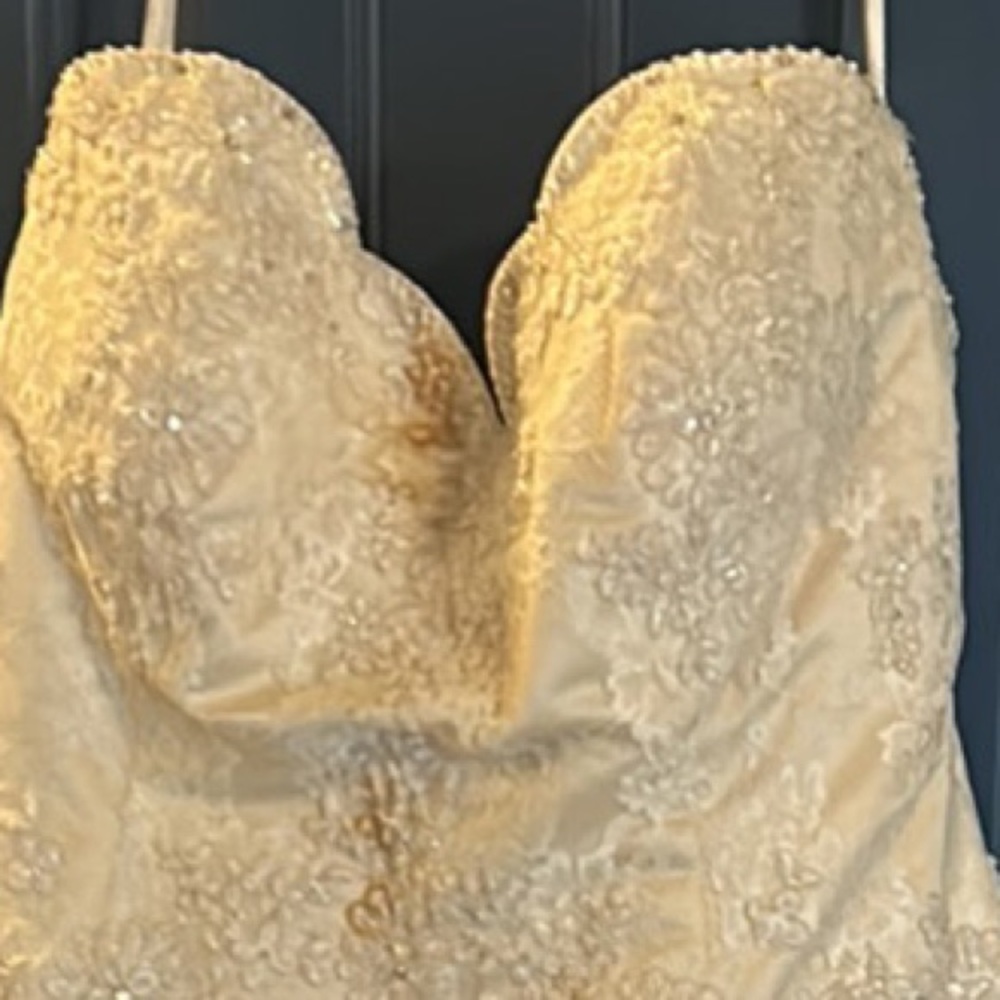 Wedding Dress with some stains